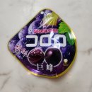 도쿄 돈키호테 쇼핑리스트[일본과자, 몬치치인형] 면세점 구매 [로이스초코렛, 로이스초코칩]