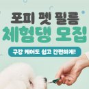 포피펫 - 안성시 중앙로 423 | 포피펫