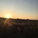 제주기억 이미지