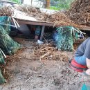 느티나무 그늘아래 평상 이미지