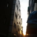 에덴-나 Daum카페