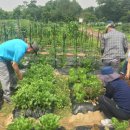 여가농장 이미지