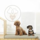 탑 동물병원 이미지