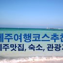 제주도 3박4일 여행일정 : 맛집, 숙박, 관광지 총정리