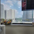 라포치과의원 네이버블로그