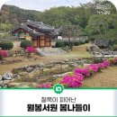 고봉문집목판(빙월당) | 월봉서원 봄나들이