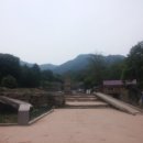 서라벌 Daum카페