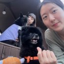 카페쉼표 이미지