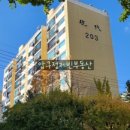 압구정-205 이미지