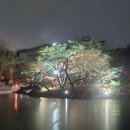 천아트(야간) 이미지