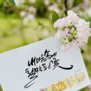 캘리로여행
