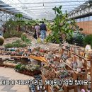 덕평공룡수목원 티스토리