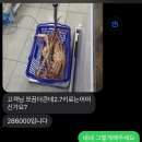 울산 송정 대게 포장배달 맛집 호호바다 내돈내산 솔직 후기