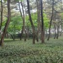 장항1리 이미지