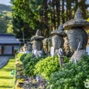 한국불교치악산관음사 | 제주 관음사 힐링 나들이 | 제주의 자연과 역사를 품은 고즈넉한 사찰