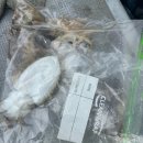 청풍 관광정보센터 | 태안 쭈꾸미 낚시 후기 🦑 관광정보센터 예약 후기부터 실제 체험까지 내돈대산 솔직 리뷰!