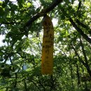 신흥목장 이미지