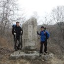 서천초등학교 이미지