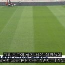 잔디색