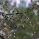 촉촉이네 이미지