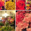 영신상가 이미지