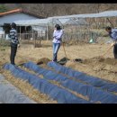 장현농장 이미지