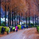 작은소풍 이미지