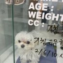 메이 동물병원 이미지