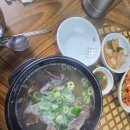 신촌설렁탕 | [먹뷰] 진한 국물과 부드러운 고기, 서산 본가신촌설렁탕 갈비탕 솔직 후기