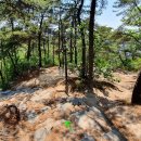 한고개길 이미지