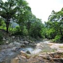 신화가족목공체험 캠핑소 이미지