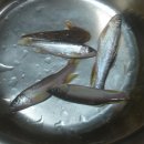 도락산장 이미지