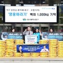 카페바라기 이미지