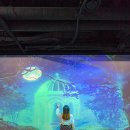 친환경엑스포로1 이미지