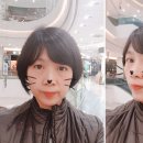 에이치조은 이미지