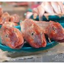 서귀포향토오일시장 이미지