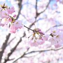 에세이 쓰기 이미지