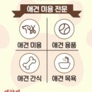 무드뭉 이미지