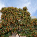 대봉1동 행정복지센터 이미지