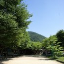 우석팜스테이 이미지