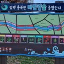 동삭1교 이미지