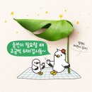 무랑가배 이미지