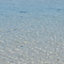 삼원농장 | [제주살이] D+22, 귤농장, 흑돼지, 그리고 노형수퍼마켙...(스압) | 게하 스탭일기 #18