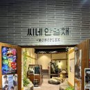 안영채X모노플렉스