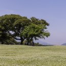 스테이다정 이미지