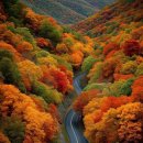 Winding road through autumn forest 😍📍Great Smoky Mountains, USA 🍂🛣️ 이미지
