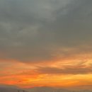 아람목장 | 베트남 나트랑 여행후기ㅣ1~2일차 판랑사막, 씀모이가든,안커피, 짜오마오, 아람사스파