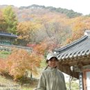 가람대중탕 Daum카페