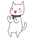 포마이숑