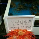 생각나네일 이미지